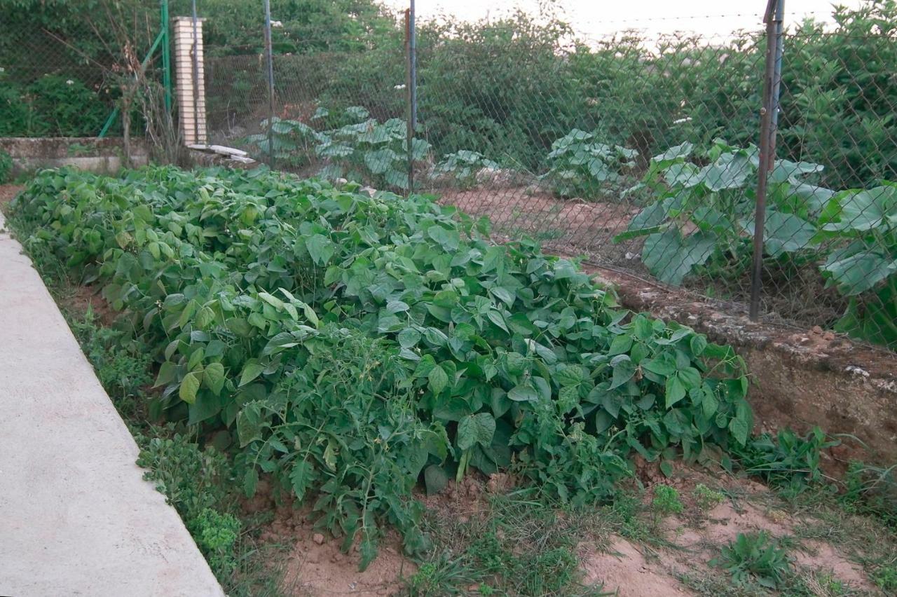 El Jardin De Manuela Santibanez del Val Exterior foto