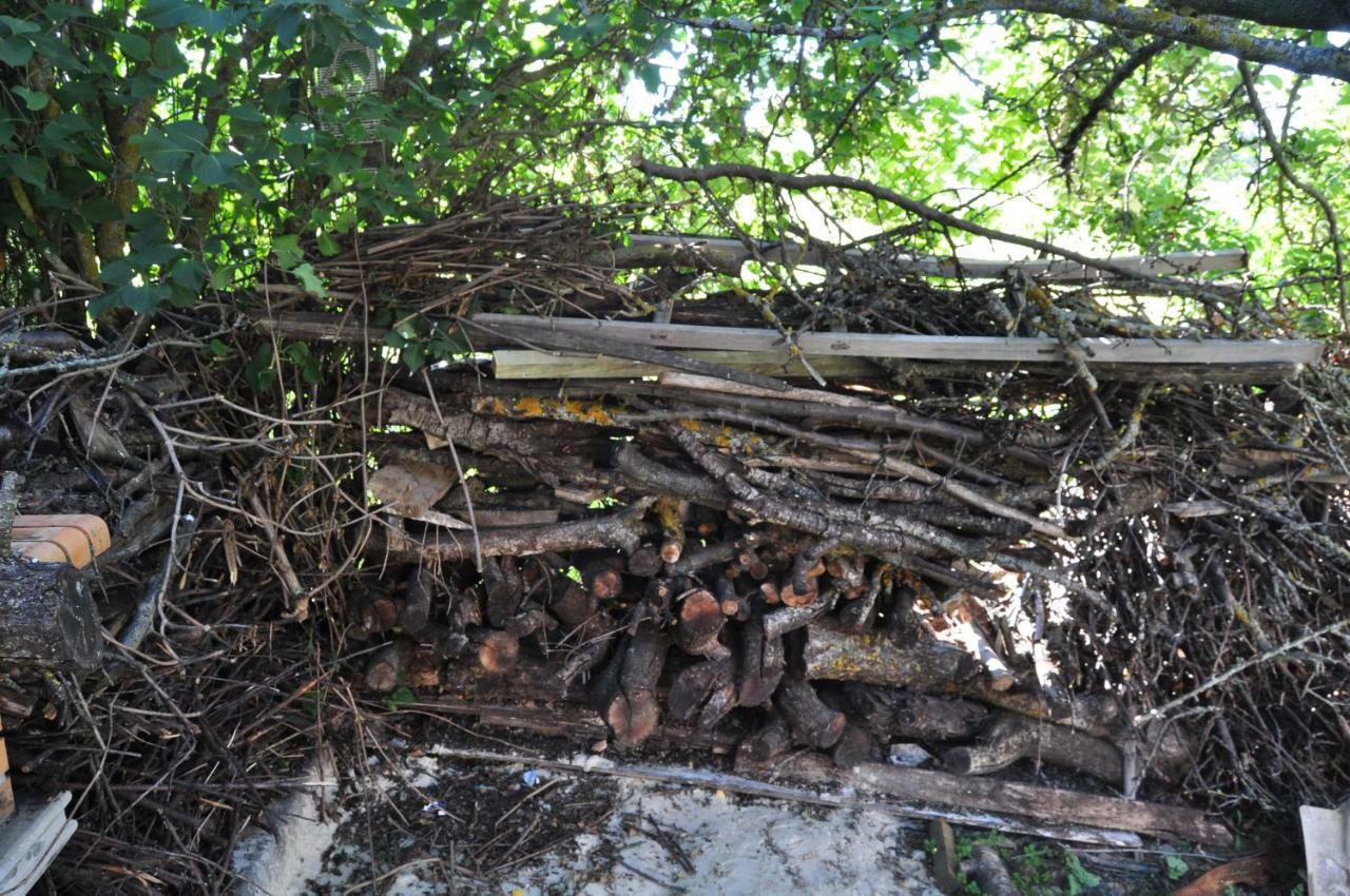 El Jardin De Manuela Santibanez del Val Exterior foto