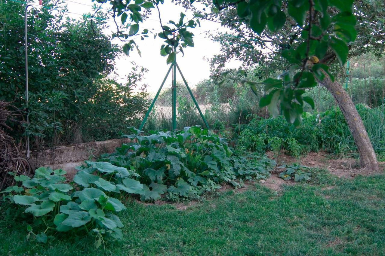 El Jardin De Manuela Santibanez del Val Exterior foto